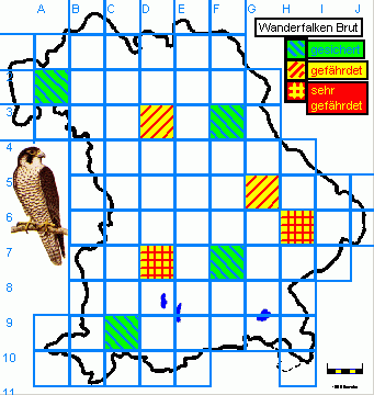 Grafik: Brutvorkommen des Wanderfalken in Planquadraten